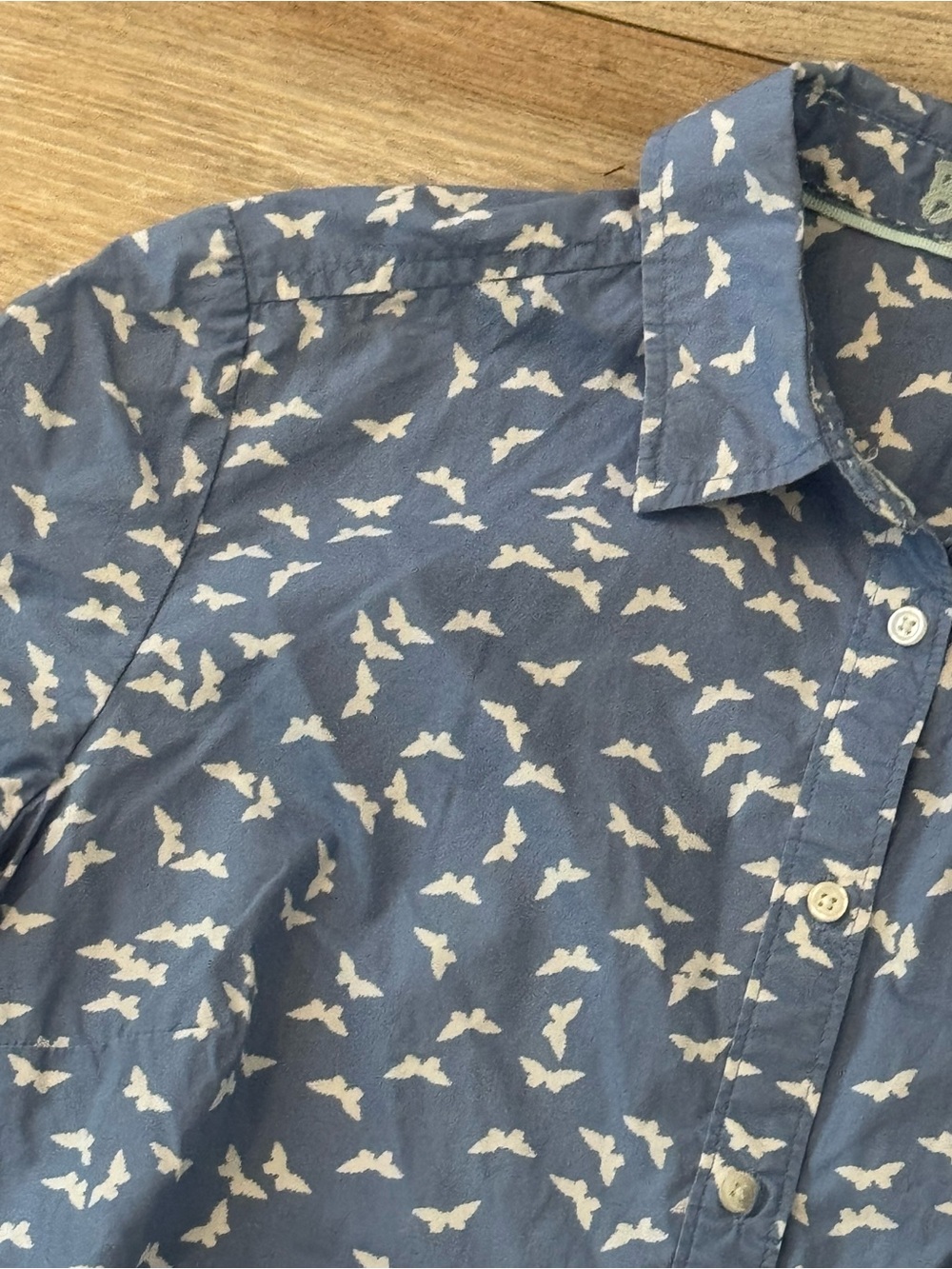 Boden Butterfly Blue White Button Down Shirt Women’s Size 8